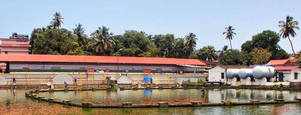 Guruvayur